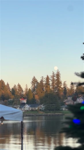 🎄67 days until 🎄 CHRISTMAS! ❄️The holiday season is just around the corner which means: 1) cozy off-season events are in full swing! Come join us for a trivia night, wine tasting, or shop our Holiday Market 12/13 🎄 2) Pre-order your wreaths & garland! Stop by the marina or give us a call during business hours ✨ 3) vendors - our holiday market is filling up fast! Message us to be considered! 🎄 | Boston Harbor Marina