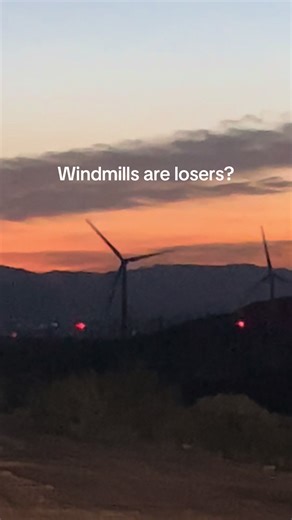 Have you seen a windmill kill a bird? #fyp #funny #windmill #haha #stupid