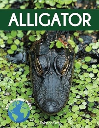 Amazon.com: Alligator: Fascinating Animal Facts for Kids (This Incredible Planet): 9781647904326: Press, Dylanna: Libros