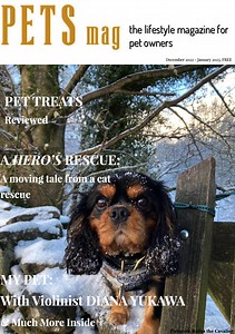 Magazine - The Leading Digital Lifestyle Magazine for Pet Parents