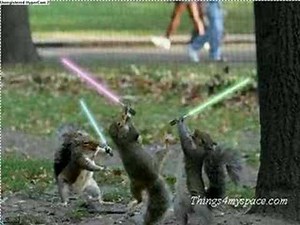 Star Wars Squirrels