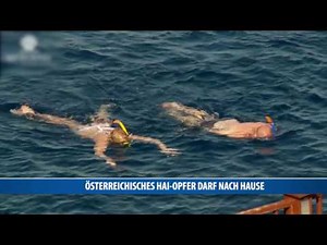 Österreichisches Hai-Opfer darf nach Hause