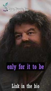 Hagrid DOESN'T WORK in Harry Potter
