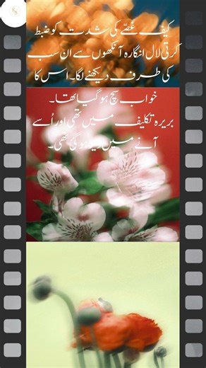 Top Rated Urdu Novels by Readers