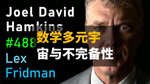 【Lex Fridman】无穷、悖论、哥德尔不完备性定理与数学多元宇宙 | 莱克斯·弗里德曼播客第488期 | 中英字幕
