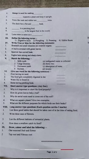 DAV school"Class 4 Science Half Yearly Question Paper 2025 | Important Questions | Exam Preparation"