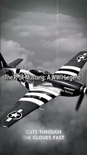 When the P-51 Mustang Changed the Air War Forever