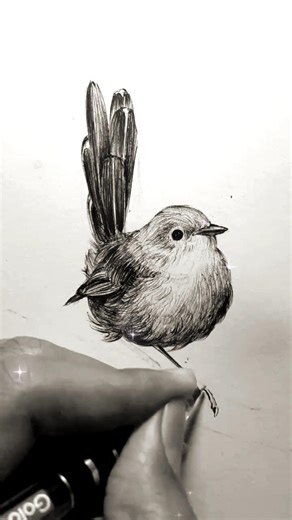 How to draw a Bird with Pencil 🐦 | Realistic Sketch #shorts #art