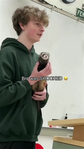 About me bringing my “dog “ to school #school #funny #funnyvideo #funnytiktok #fyp