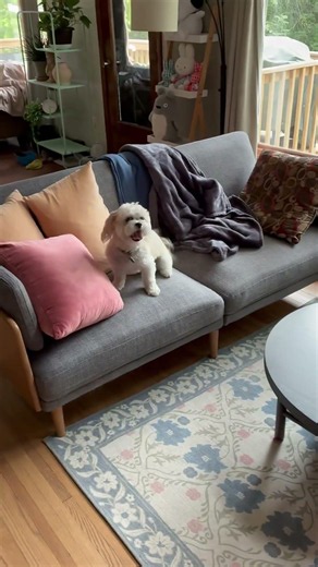 When you get excited, go for the couch.
