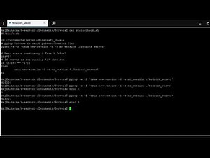 Automating Minecraft with Bash scripting | Brief overview