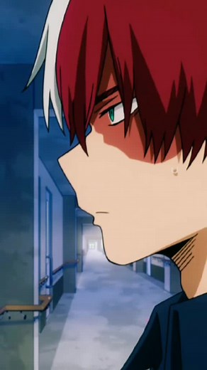 Todoroki.shoto_15 on TikTok