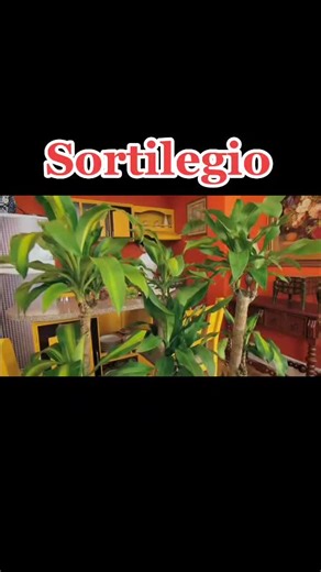 Exploring Scenes in Sortilegio: Indoor and Outdoor Activities