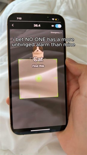the CRAZIEST alarm that calls u a lazy pig