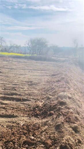 #foryou #volleyball #💯🏐❤️#@𝓒𝓗 BASIT is Live😎