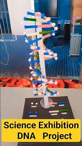 One day science exhibition project DNA : Adhunik Inter College Bhitariya Barabanki