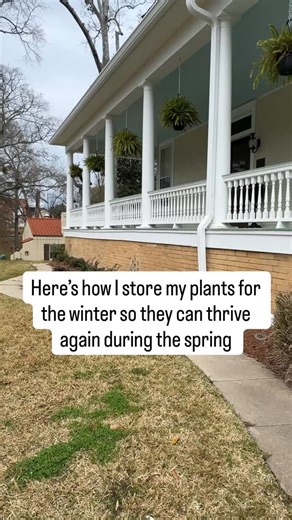 Sara McDaniel on Instagram: "Here’s how I store all of my plants for the winter! If you want to be able to reuse your plants year after year and if you live in a zone where the temperatures get below freezing, it’s crucial that you store your plants in a warm environment. Back in 2017 I built a greenhouse from all reclaimed materials. That’s where I stored all of my plants in the winter. I have a little utility heater that keeps them warm. Watch this short reel to see all of the steps I take to