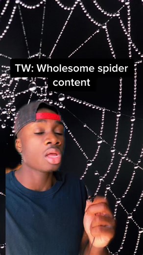 Everytime my mom tells me to kill a spider, I grab them with a Kleene... | Casual Geographic