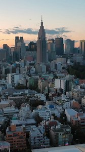 Gliding Over Tokyo: A Skyline Tour of Modern Marvels.
