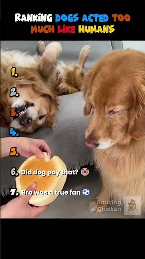 Ranking Dogs Acting Like Humans