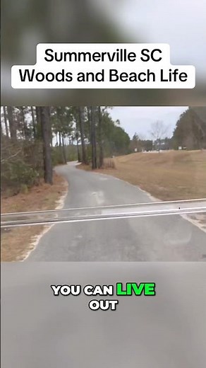 Summerville South Carolina: Woods and Beach Life #summervillesc #southcarolina #summerville #woods