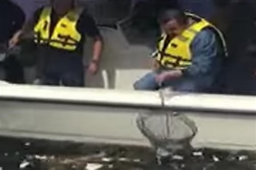 Infamous Manila Bay clean-up drive by Erap Estrada goes viral anew