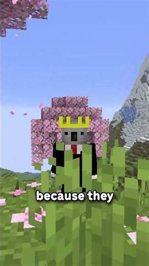 THEY REMOVED THE LEAF PARTICLES...