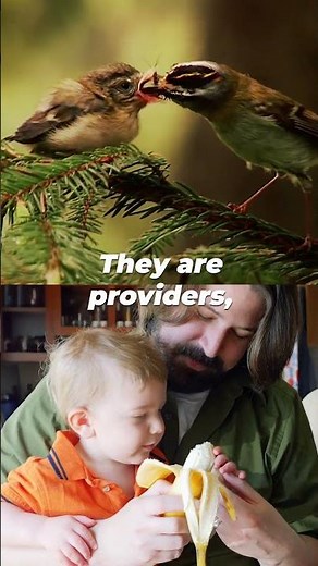 Amazing Animal Fathers