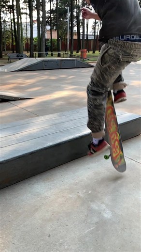Hard flip fs board or Bigspin fs board ??????