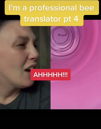 Bee Communication Explained: Translating Their Sounds