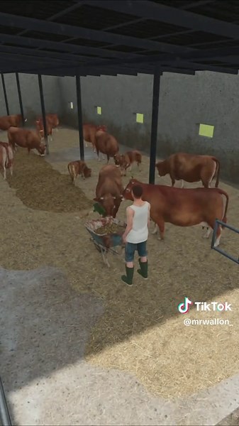 Efficient Wheelbarrow Cleaning in Cow Barns