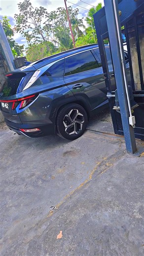 Sleep Light: The Journey of UGC Creators