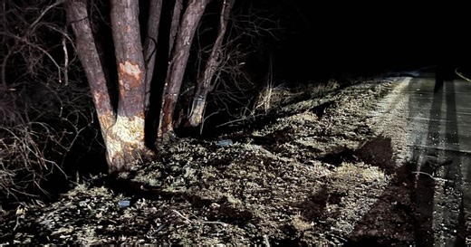 Dane County Medical Examiner identifies 3 people killed in crash after Monona police chase