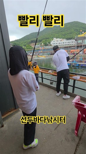#바다 #fishing #선두바다낚시터 #낚시 #강화도 #다금바리