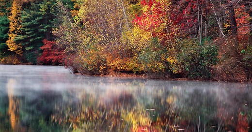 Nature: Walden Pond
