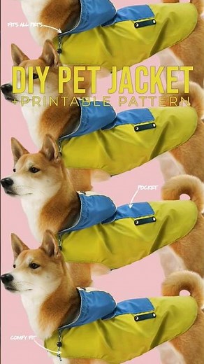 DIY Pet Jacket + PDF PATTERN #diy #sew #makeitsew #sewingproject #seweasy #petclothing