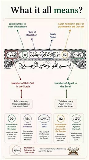 Ever wondered what the symbols and numbers on a Quran page actually mean? 📖✨