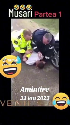 Fĺorin Zmeu (@forin.zmeu)’s videos with sunet original - Fĺorin Zmeu