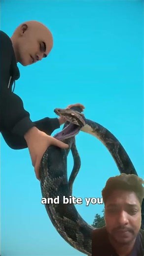 How to kill a python #shorts #zackdfilm #trending