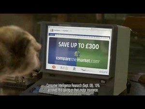 Compare The Meerkat / Compare the Market