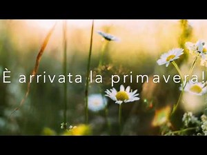 Spring song - È primavera