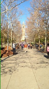 486 reactions · 19 shares | Ho Plaza | Cornell University | Facebook