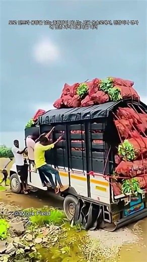과적된 트럭에서 짐을 안전하게 옮기는 작업 방법 #process #workers
