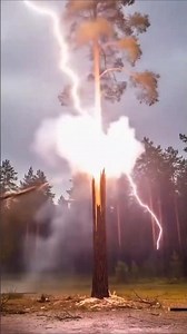 ⚡ Insane Lightning Strike Explodes Tree on Camera! 🌲🔥 | Nature’s Raw Power