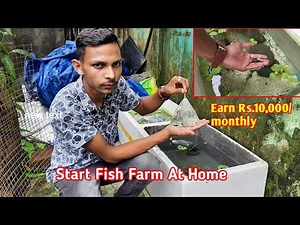 how to start fish. farming at home . Rs.300/-investment. Earning Rs 30,000/- Monthly