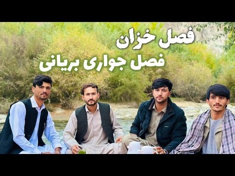 پاییز افغانستان: مزارع طلایی «جواری بریانی با حامد باور» Afghanistan's Autumn