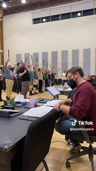 Day in the life of our Production Stage Manager during The Pirates of Penzance. #opera #diml #ditl