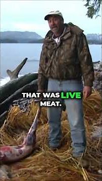 The Pro Guide to Field Dressing Deer