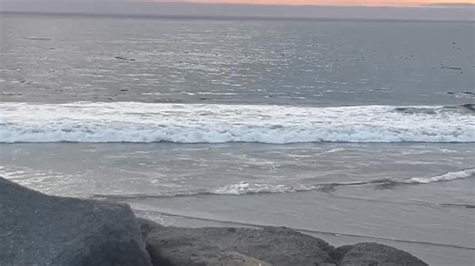 Frank Rovello on Reels