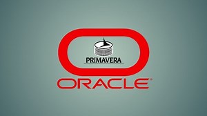 Complete Primavera P6 Diploma ( Basic &Advanced Level)
